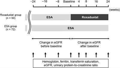 Effects of roxadustat on anemia, iron metabolism, and lipid metabolism in patients with non-dialysis chronic kidney disease